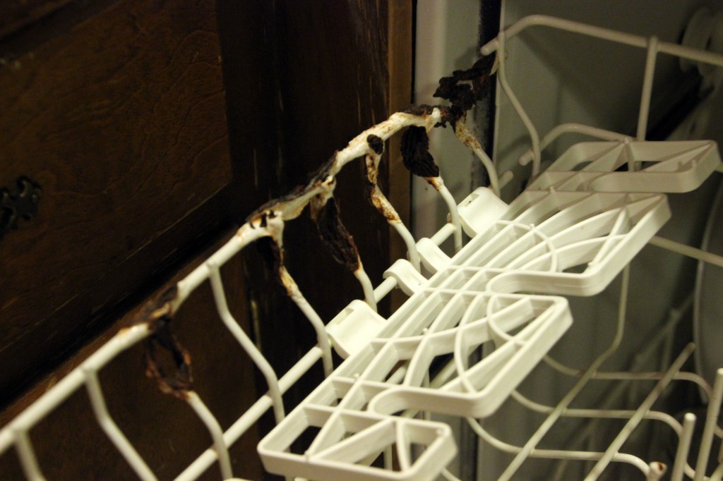 Rusted Dishwasher Racks