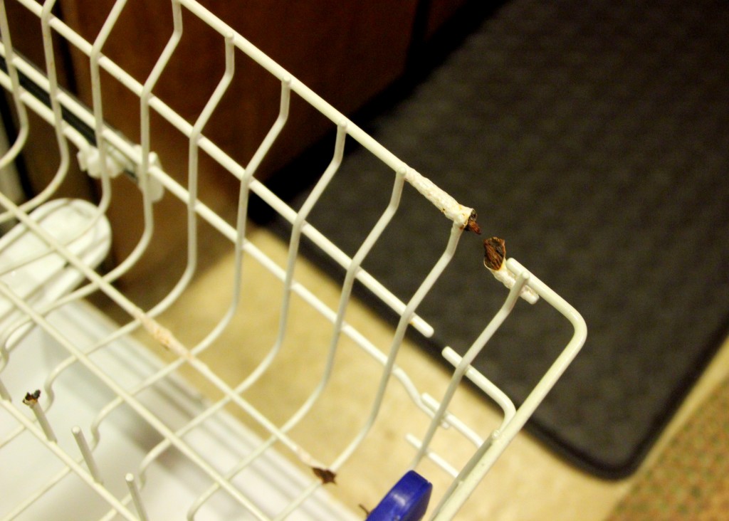 Rusty Dishwasher Racks