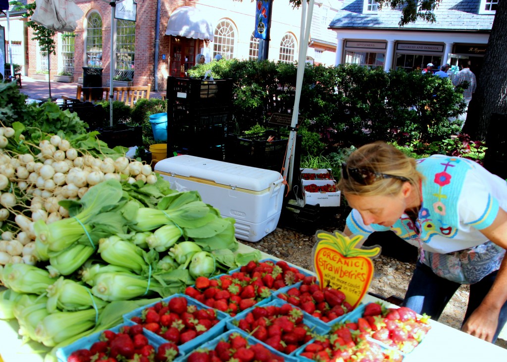 Farmers Market Williamsburg