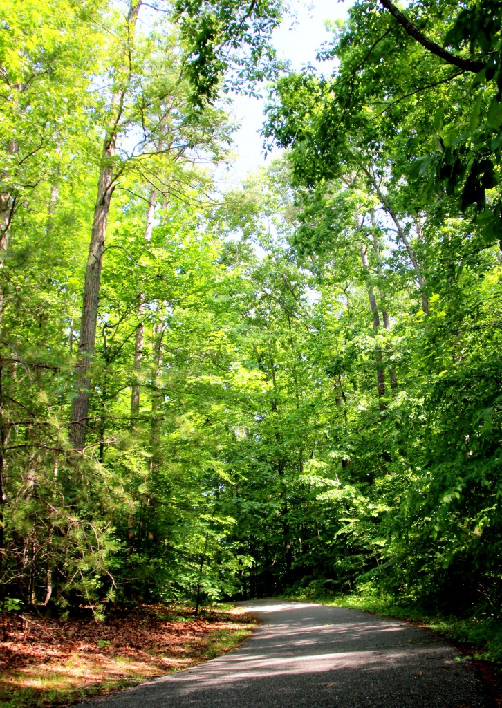 Longhill Loop Footpath - Williamsburg, VA