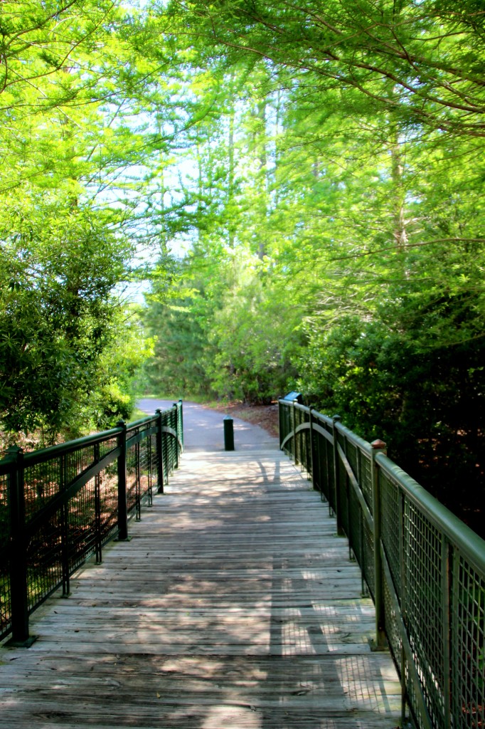 Freedom Park Trail Entry