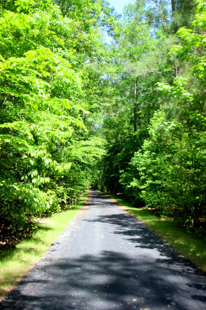 Freedom Park Trail 3